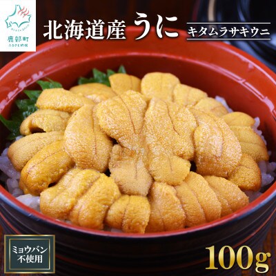 北海道産 ふり塩うに キタムラサキウニ 100g F22-5