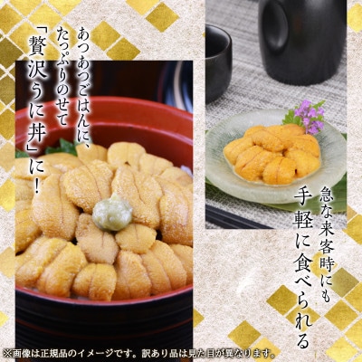【訳あり】北海道産 ふり塩うに キタムラサキウニ 400g(100g×4パック) F80