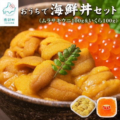 北海道産 おうちで海鮮丼セット キタムラサキウニ100g いくら醤油漬け100g F81