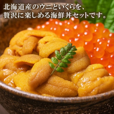 北海道産 おうちで海鮮丼セット キタムラサキウニ100g いくら醤油漬け100g F81