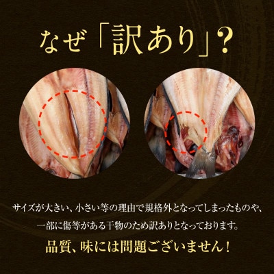 【毎月中旬発送】訳あり 干物詰め合わせ 約3.5kg R06-2S