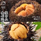 塩うに 食べ比べセット 80g×各1P バフンウニ ムラサキウニ I08-4