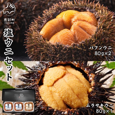 ɃMtgZbg v240g otEj80g×2P TLEj80g×1P I11-4