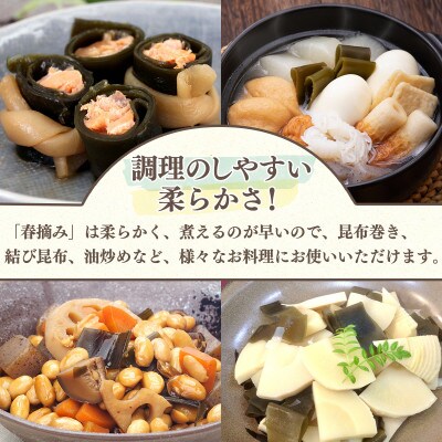 【北海道鹿部町産】白口浜真昆布 春摘み 100g(50g×2)SS36-3