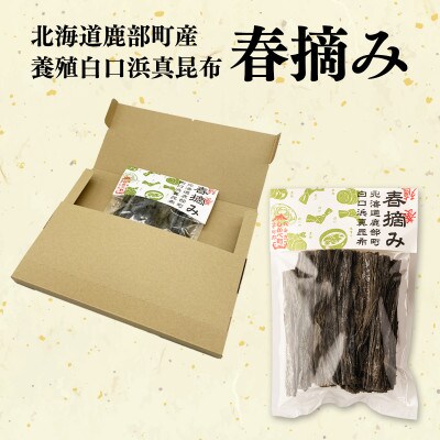 【北海道鹿部町産】白口浜真昆布 春摘み 50g(50g×1)SS51