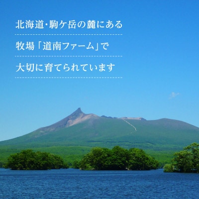 北海道産 鹿部牛 肩ロース スライス 500g DF06-2
