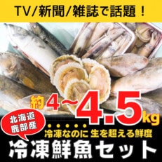 【訳あり】 北海道鹿部町の漁師応援プロジェクト!冷凍鮮魚セット 約4～4.5kg SM15