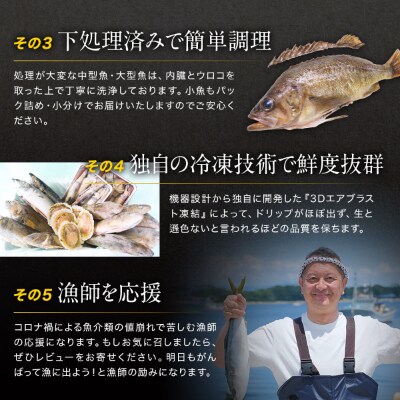 【訳あり】 北海道鹿部町の漁師応援プロジェクト!冷凍鮮魚セット 約4~4.5kg SM15