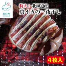 北海道産真イカの一夜干し 4枚入 スルメイカ SM10-4