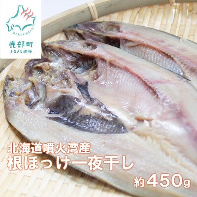 特大 北海道産 根ほっけの一夜干し 1枚 約450g 4枚入り Sm24 お礼品詳細 ふるさと納税なら さとふる