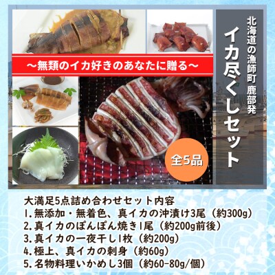 訳あり 北海道 漁師町鹿部のイカ尽くしセット 全5品 Sm25 お礼品詳細 ふるさと納税なら さとふる
