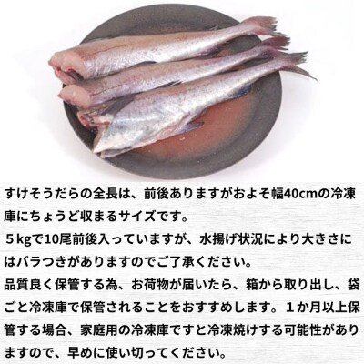 楽しみ方は10通り メニューに困らない万能白身魚 すけそうだら 約5kg Sm21 お礼品詳細 ふるさと納税なら さとふる