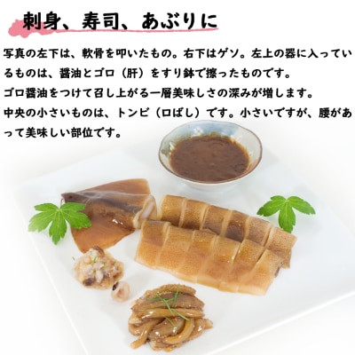 北海道産 イカの沖漬けピュア製法 600g(300g×2パック) SM05-4S