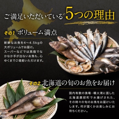 【訳あり】 北海道鹿部町の漁師応援プロジェクト!冷凍鮮魚セット 約4～4.5kg SM15-2S
