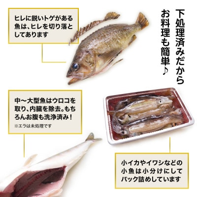 【訳あり】 北海道鹿部町の漁師応援プロジェクト!冷凍鮮魚セット 約4～4.5kg SM15-2S