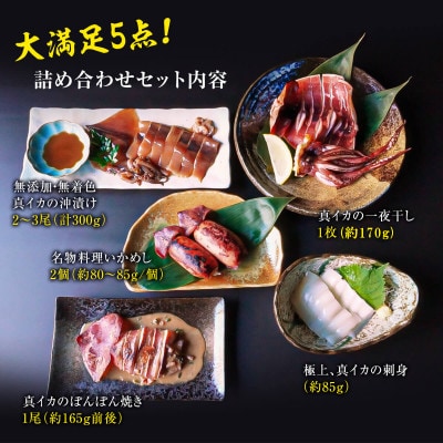 【訳あり】北海道 漁師町・鹿部町のイカ尽くしセット(全5品)SM25-4