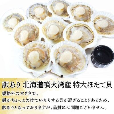 【訳あり】北海道噴火湾産ほたて貝 10枚 SM61-2S
