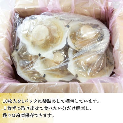 【訳あり】北海道噴火湾産ほたて貝 10枚 SM61-2S