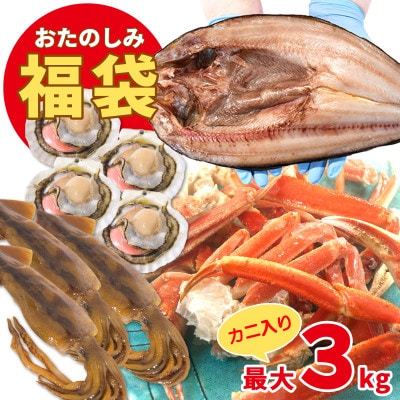 北海道の海鮮<おたのしみ福袋> 訳あり 5種 最大3kg SM50-3