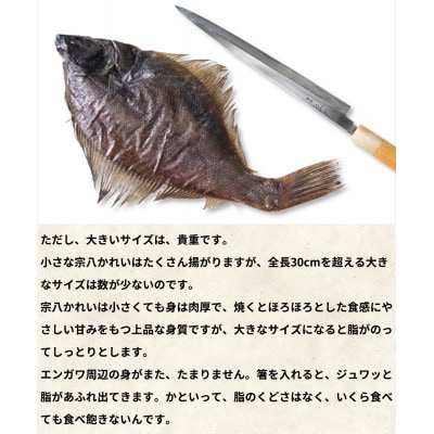 北海道産 宗八かれいの一夜干し 4枚入り SM41-2