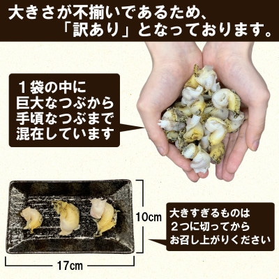 北海道鹿部町産 訳あり 前浜ボイルつぶ 1kg(500g×2袋) KS01-4