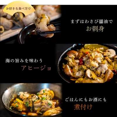 北海道鹿部町産 訳あり 前浜ボイルつぶ 900g(300g×3袋) KS09-4