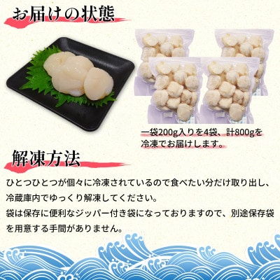 北海道噴火湾湾口産 お刺身用 ほたて貝柱 800g (200g×4袋) 2年貝 KS22-3