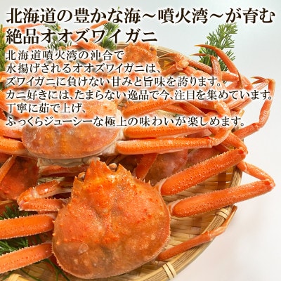 北海道産 訳あり ボイルオオズワイガニ 3kg(約10～18尾) KS24