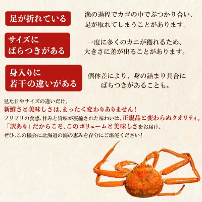 北海道産 訳あり ボイルオオズワイガニ 3kg(約10～18尾) KS24