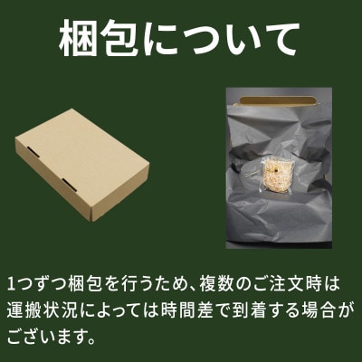 守りたくなるお守り【ガラス猫】ストラップ  DG02