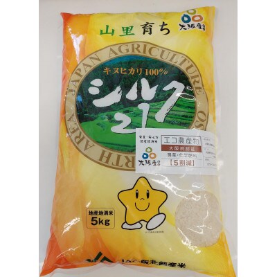 かあちゃんの味セットB