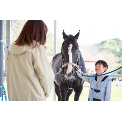 乗馬体験6回コース(30分×6回) レッスンご利用券(別途装具レンタル・保険料必要)