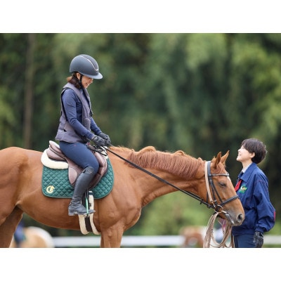 乗馬体験 (30分) 10回スキルUPコースご利用券(別途装具レンタル・保険料必要)