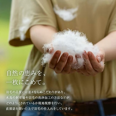 保温力抜群の羽毛掛ふとん『E6060』