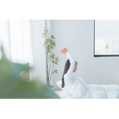 最高級羽毛アイダーダウンを使用した羽毛肌ふとん『LARM(ラーム)』セミダブル