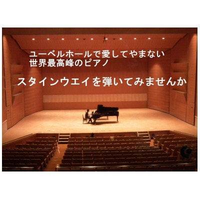 スタインウェイピアノ(D274)1時間演奏体験　【令和7年5月10日(土)13時～14時限定】