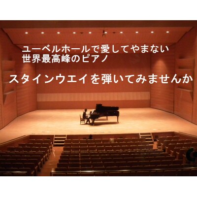 スタインウェイピアノ(D274)1時間演奏体験　【令和7年5月31日(土)14時～15時限定】