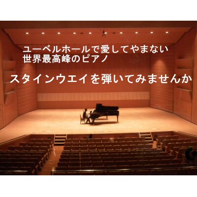 スタインウェイピアノ(D274)1時間演奏体験　【令和7年5月31日(土)15時～16時限定】