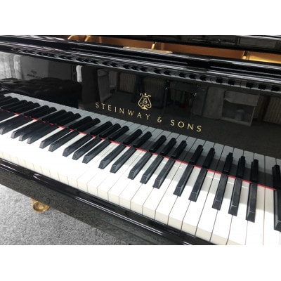 スタインウェイピアノD274演奏体験　令和8年4月12日(日)11時～正午限定