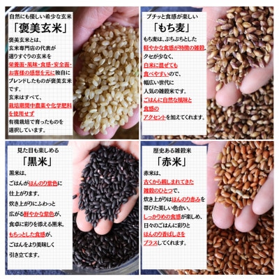 【白米に混ぜて簡単!】国産 有機四穀米ブレンド750g(250g×3袋入り)