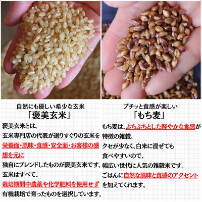 【白米に混ぜて簡単!】国産 有機もち麦ブレンド3.0kg(250g×12袋入り)
