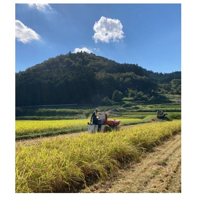 さいわき農園のお米(精米)(キヌヒカリ)