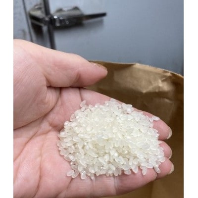 さいわき農園のお米(精米)(キヌヒカリ)10キロ