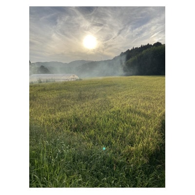 さいわき農園のお米(精米)(キヌヒカリ)10キロ