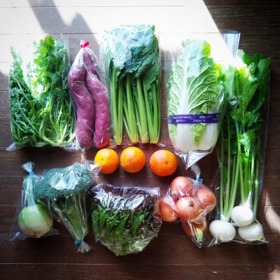 おまかせ野菜セット(2026年5月下旬～発送予定)