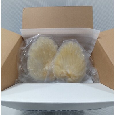 フカヒレ姿煮用(ムナビレ)60g×2枚