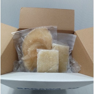 フカヒレ姿煮用詰め合わせ200g+スープ用フカヒレ100g×2袋