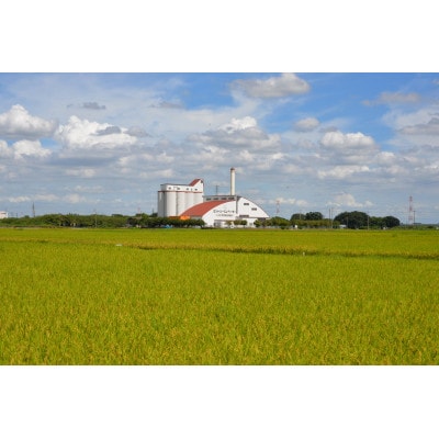 埼玉県産 金芽米(彩のきずな)【BG無洗米】5kg