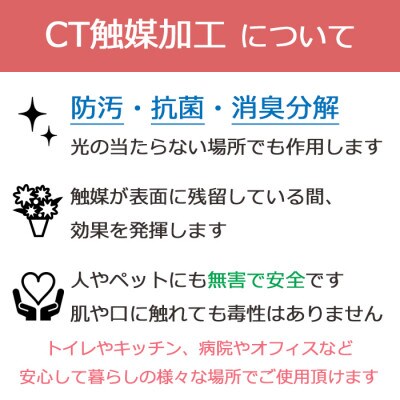 胡蝶蘭 造花 常滑産陶製鉢に入ったシルクフラワーの胡蝶蘭の鉢植 5本立 CT触媒 ホワイトイエロー