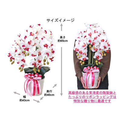 胡蝶蘭 造花 常滑産陶製鉢に入ったシルクフラワーの胡蝶蘭の鉢植 5本立 CT触媒 ホワイトイエロー
